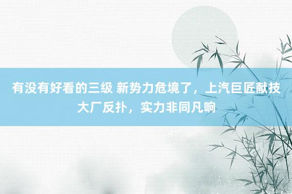 有没有好看的三级 新势力危境了,上汽巨匠献技大厂反扑,实力非同凡响