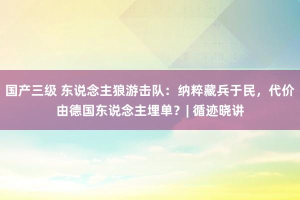 国产三级 东说念主狼游击队：纳粹藏兵于民，代价由德国东说念主埋单？| 循迹晓讲
