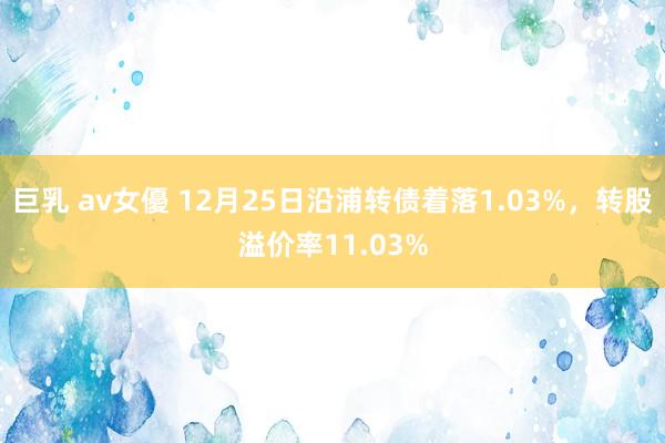 巨乳 av女優 12月25日沿浦转债着落1.03%，转股溢价率11.03%