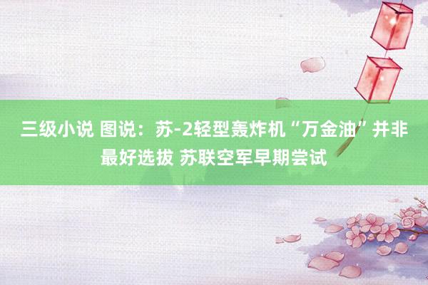 三级小说 图说：苏-2轻型轰炸机“万金油”并非最好选拔 苏联空军早期尝试