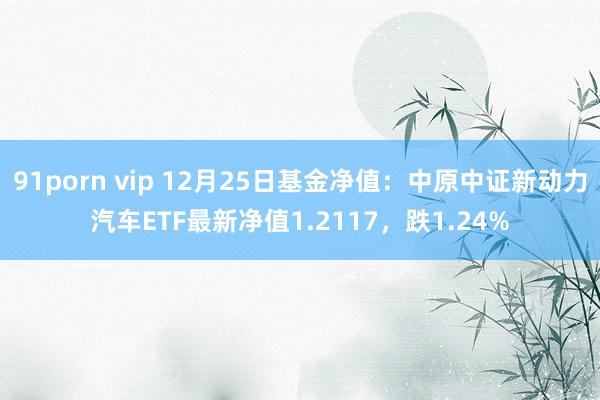 91porn vip 12月25日基金净值:中原中证新动力汽车ETF最新净值1.2117,跌1.24%