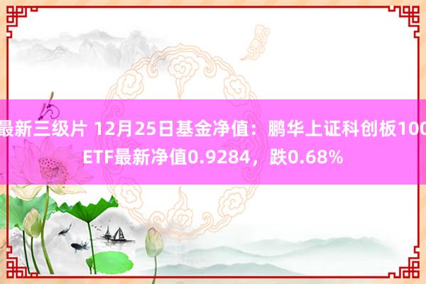 最新三级片 12月25日基金净值：鹏华上证科创板100ETF最新净值0.9284，跌0.68%