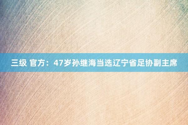 三级 官方：47岁孙继海当选辽宁省足协副主席