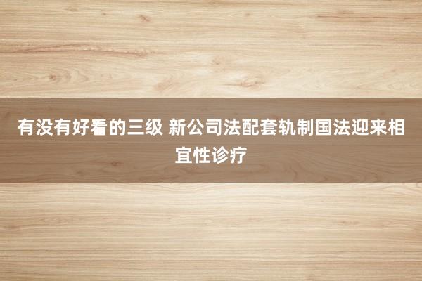 有没有好看的三级 新公司法配套轨制国法迎来相宜性诊疗