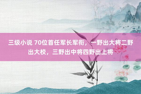 三级小说 70位首任军长军衔,一野出大将二野出大校,三野出中将四野出上将