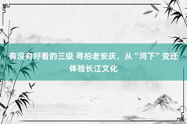 有没有好看的三级 寻拍老安庆,从“河下”变迁体验长江文化