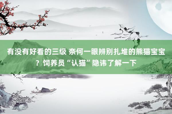 有没有好看的三级 奈何一眼辨别扎堆的熊猫宝宝?饲养员“认猫”隐讳了解一下