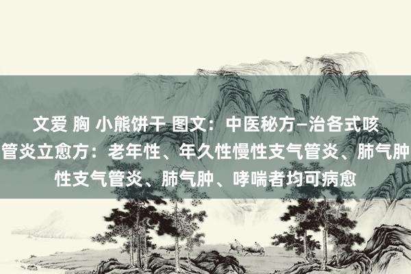 文爱 胸 小熊饼干 图文:中医秘方—治各式咳嗽、急性慢性支气管炎立愈方:老年性、年久性慢性支气管炎、肺气肿、哮喘者均可病愈