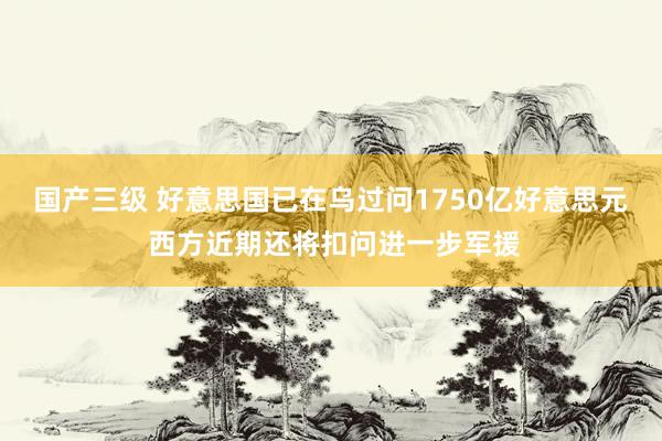 国产三级 好意思国已在乌过问1750亿好意思元 西方近期还将扣问进一步军援