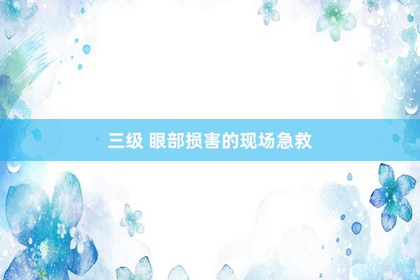 三级 眼部损害的现场急救