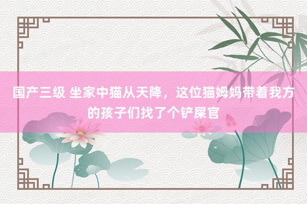 国产三级 坐家中猫从天降，这位猫姆妈带着我方的孩子们找了个铲屎官