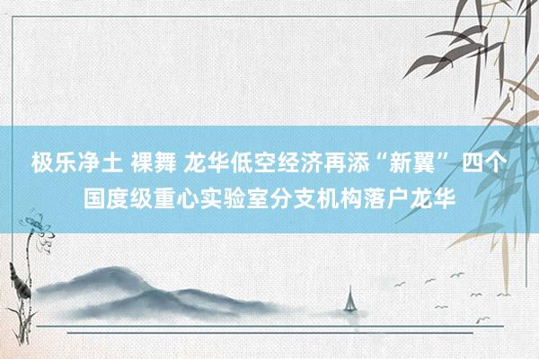 极乐净土 裸舞 龙华低空经济再添“新翼” 四个国度级重心实验室分支机构落户龙华