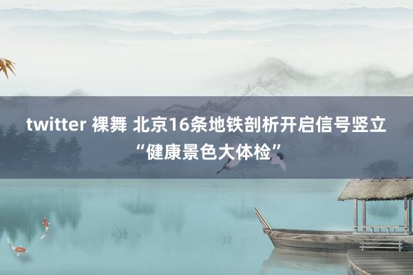 twitter 裸舞 北京16条地铁剖析开启信号竖立“健康景色大体检”