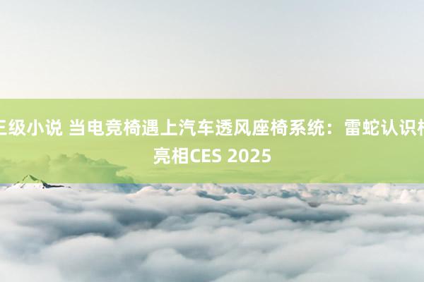 三级小说 当电竞椅遇上汽车透风座椅系统:雷蛇认识椅亮相CES 2025