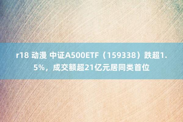 r18 动漫 中证A500ETF（159338）跌超1.5%，成交额超21亿元居同类首位