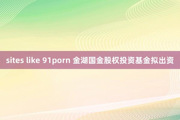 sites like 91porn 金湖国金股权投资基金拟出资