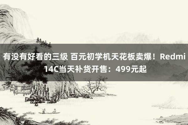 有没有好看的三级 百元初学机天花板卖爆!Redmi 14C当天补货开售:499元起