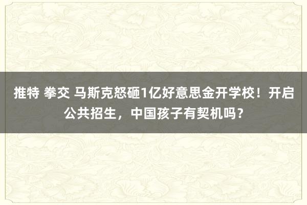 推特 拳交 马斯克怒砸1亿好意思金开学校！开启公共招生，中国孩子有契机吗？