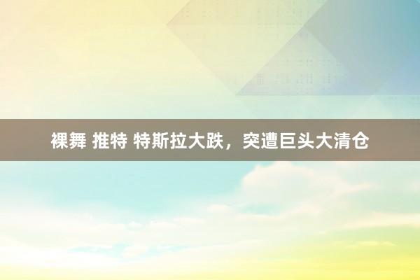 裸舞 推特 特斯拉大跌，突遭巨头大清仓