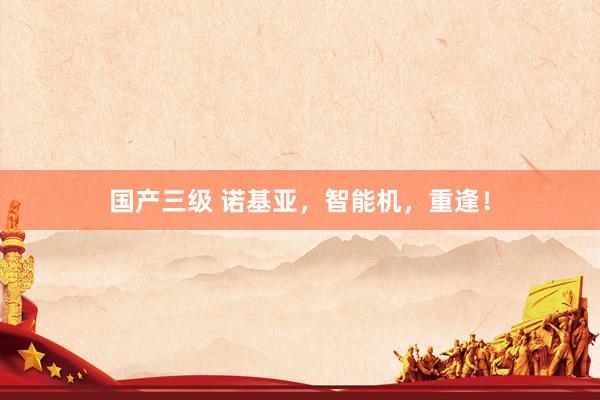 国产三级 诺基亚,智能机,重逢!