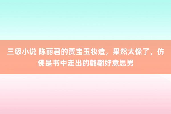 三级小说 陈丽君的贾宝玉妆造，果然太像了，仿佛是书中走出的翩翩好意思男