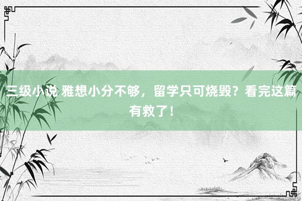 三级小说 雅想小分不够,留学只可烧毁?看完这篇有救了!