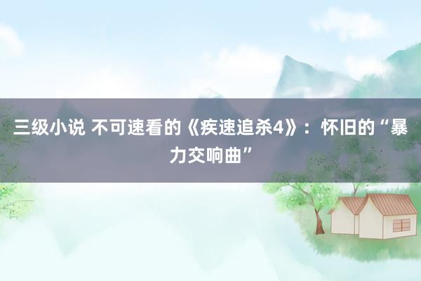 三级小说 不可速看的《疾速追杀4》:怀旧的“暴力交响曲”