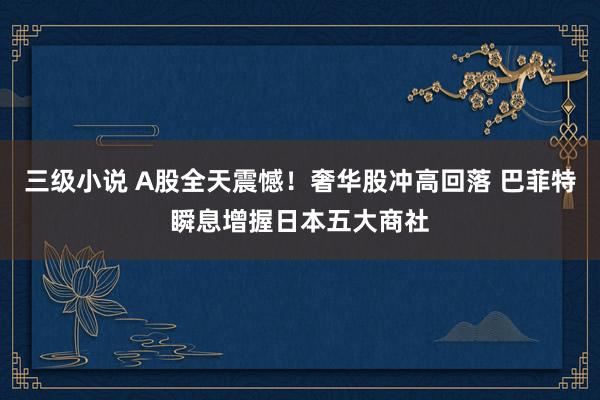 三级小说 A股全天震憾！奢华股冲高回落 巴菲特瞬息增握日本五大商社