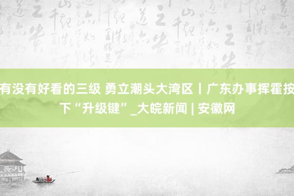 有没有好看的三级 勇立潮头大湾区丨广东办事挥霍按下“升级键”_大皖新闻 | 安徽网