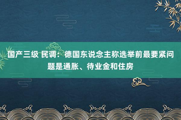 国产三级 民调：德国东说念主称选举前最要紧问题是通胀、待业金和住房