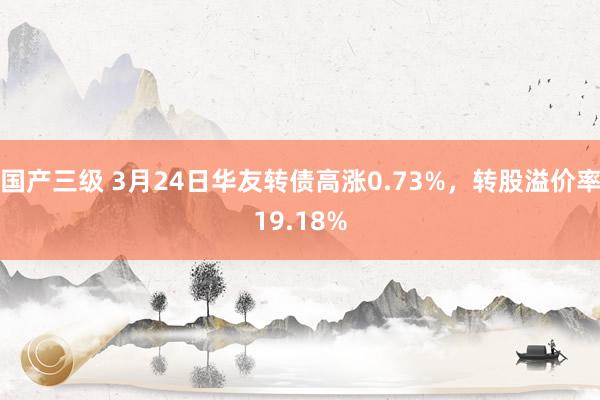 国产三级 3月24日华友转债高涨0.73%，转股溢价率19.18%