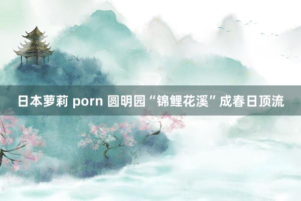 日本萝莉 porn 圆明园“锦鲤花溪”成春日顶流