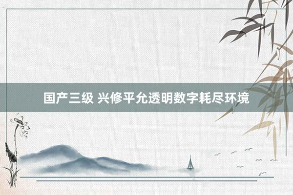 国产三级 兴修平允透明数字耗尽环境