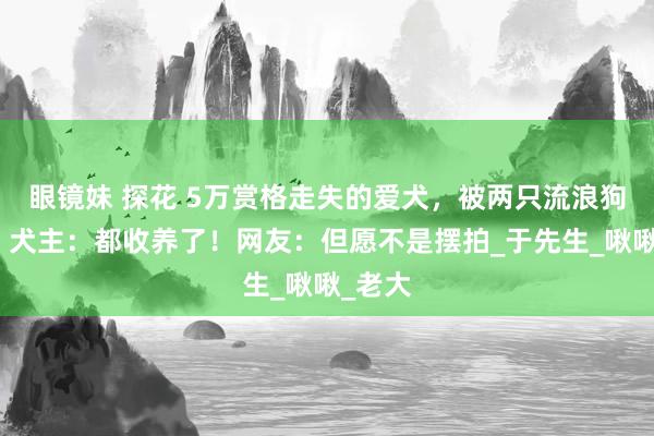 眼镜妹 探花 5万赏格走失的爱犬,被两只流浪狗收养!犬主:都收养了!网友:但愿不是摆拍_于先生_啾啾_老大