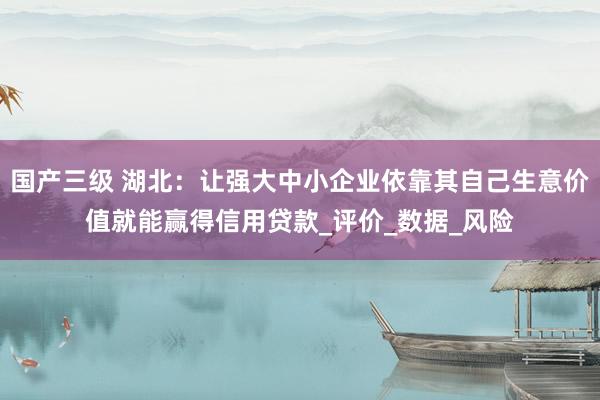 国产三级 湖北:让强大中小企业依靠其自己生意价值就能赢得信用贷款_评价_数据_风险