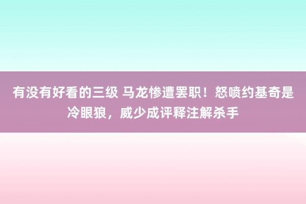 有没有好看的三级 马龙惨遭罢职！怒喷约基奇是冷眼狼，威少成评释注解杀手