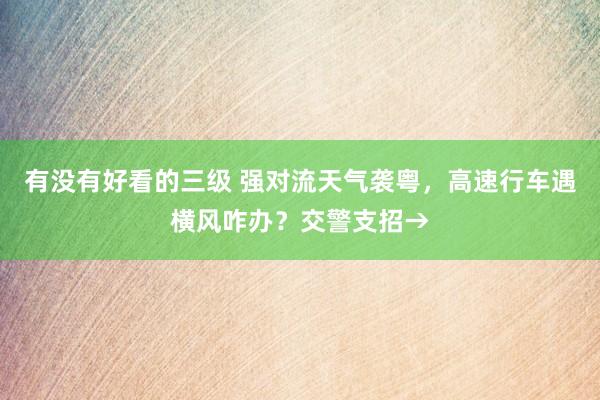 有没有好看的三级 强对流天气袭粤，高速行车遇横风咋办？交警支招→