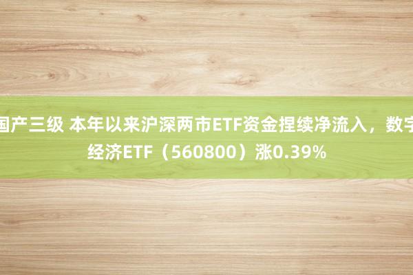 国产三级 本年以来沪深两市ETF资金捏续净流入,数字经济ETF(560800)涨0.39%
