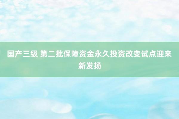 国产三级 第二批保障资金永久投资改变试点迎来新发扬