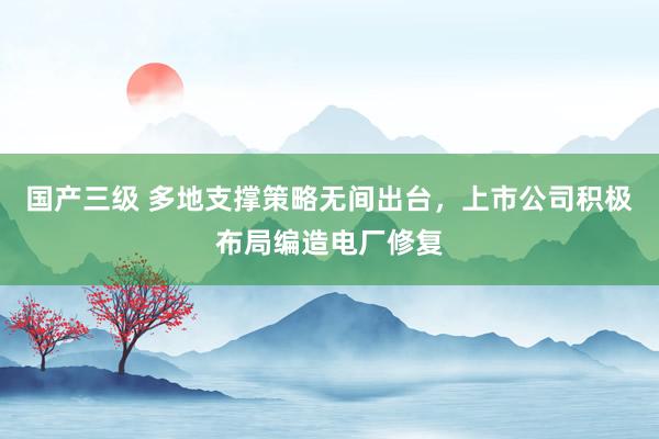 国产三级 多地支撑策略无间出台，上市公司积极布局编造电厂修复