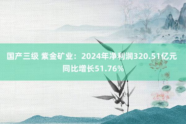 国产三级 紫金矿业：2024年净利润320.51亿元 同比增长51.76%